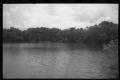Photograph: [Miller's Lake and surrounding trees]
