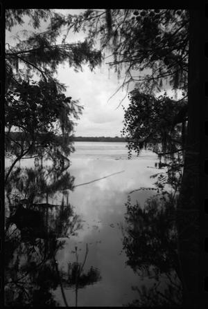 Primary view of object titled '[Photograph of Miller's Lake]'.