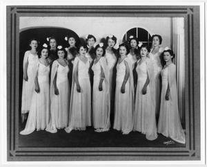 Primary view of object titled '[Fourteen Club Terpsicore members in long dresses]'.