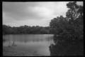 Photograph: [Trees around Miller's Lake]