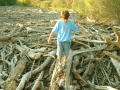 Photograph: [Boy walking on a log in a pile of brush]