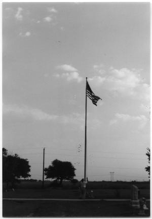 Primary view of object titled 'Brodsgaard raising flag'.