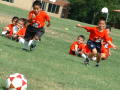 Primary view of [Boys engage in soccer drills]