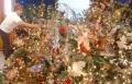 Photograph: [Woman arranges the decorations on a Christmas tree]