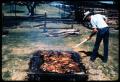 Photograph: [Cowboy Cook Tending Beef]