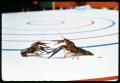 Photograph: [Two Crawfish Participating in Crawfish Race]