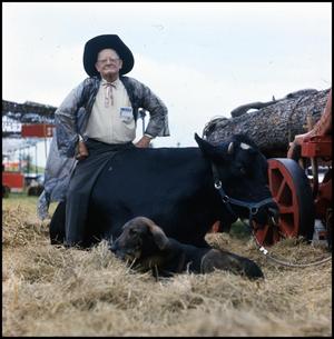 [Participant Sitting on an Ox]