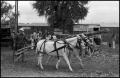 Photograph: [Pioneer Sugar Cane Mill at the Texas Folklife Festival]
