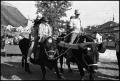 Photograph: [Children Riding Jethro Holmes' Oxen]
