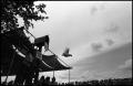 Photograph: [Chicken Flying Contest at the Texas Folklife Festival]