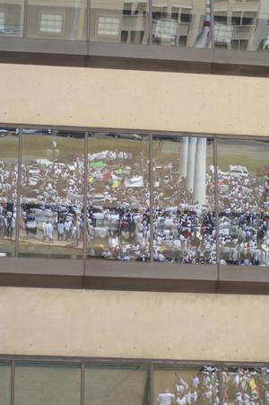 Primary view of object titled '[Protesters are reflected in windows]'.