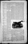 Thumbnail image of item number 3 in: 'The Cameronian. (Cameron, Tex.), Vol. 1, No. 43, Ed. 1 Saturday, October 29, 1898'.