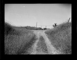[Photograph of Dirt Road Intersection]