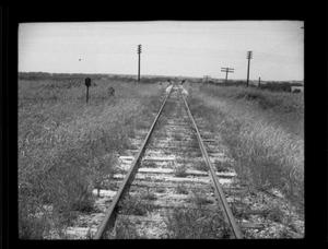 [Photograph of Railroad Tracks in a Field]