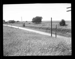 [Photograph of Road Between Two Fields]