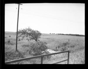 [Photograph of Unknown Field]