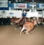 Photograph: [Cutting Horse Competition: Leonara #1]