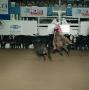 Photograph: [Cutting Horse Competition: Captain Haida #3]