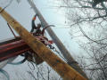 Thumbnail image of item number 1 in: '[Worker replaces utility pole]'.