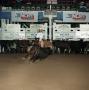 Photograph: Cutting Horse Competition: Image 1991_D-208_06