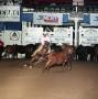 Photograph: Cutting Horse Competition: Image 1991_D-208_08