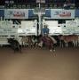 Photograph: Cutting Horse Competition: Image 1991_D-209_01