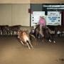 Thumbnail image of item number 1 in: 'Cutting Horse Competition: Image 1991_D-23_01'.