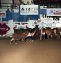 Thumbnail image of item number 1 in: 'Cutting Horse Competition: Image 1991_D-240_05'.