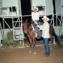 Thumbnail image of item number 1 in: 'Cutting Horse Competition: Image 1991_D-244_02'.