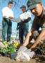 Thumbnail image of item number 1 in: '[Man planting flowers with two men standing in background]'.