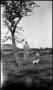 Photograph: [Photograph of Gus and Emil Jentsch with a Dog]