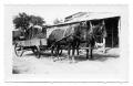 Photograph: [Photograph of Horses Hitched to a Wagon]