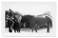 Photograph: [Photograph of Two Horses]