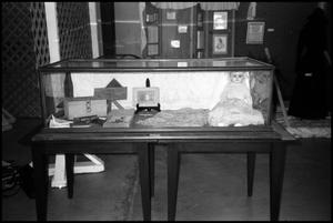 [Photograph of a Display Case for the Gillespie County Historical Society]