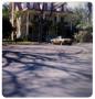 Photograph: [Price Woods House - 609 Griner]