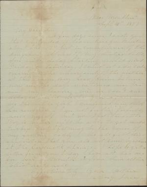 Primary view of object titled 'Letter to Cromwell Anson Jones, 15 September 1877'.