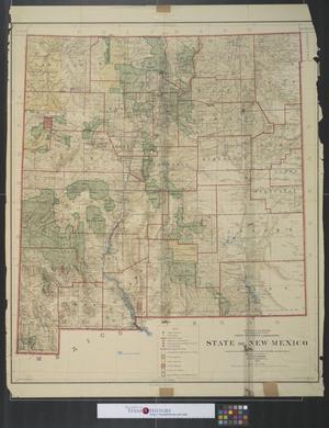 Primary view of object titled 'State of New Mexico : compiled from the official records of the Geneal Land Office and other sources.'.