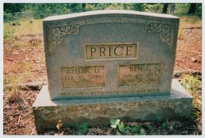 Primary view of object titled '[Headstone of Azilea and Ben Price]'.