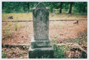 Primary view of object titled '[Headstone of Carter L. Price]'.