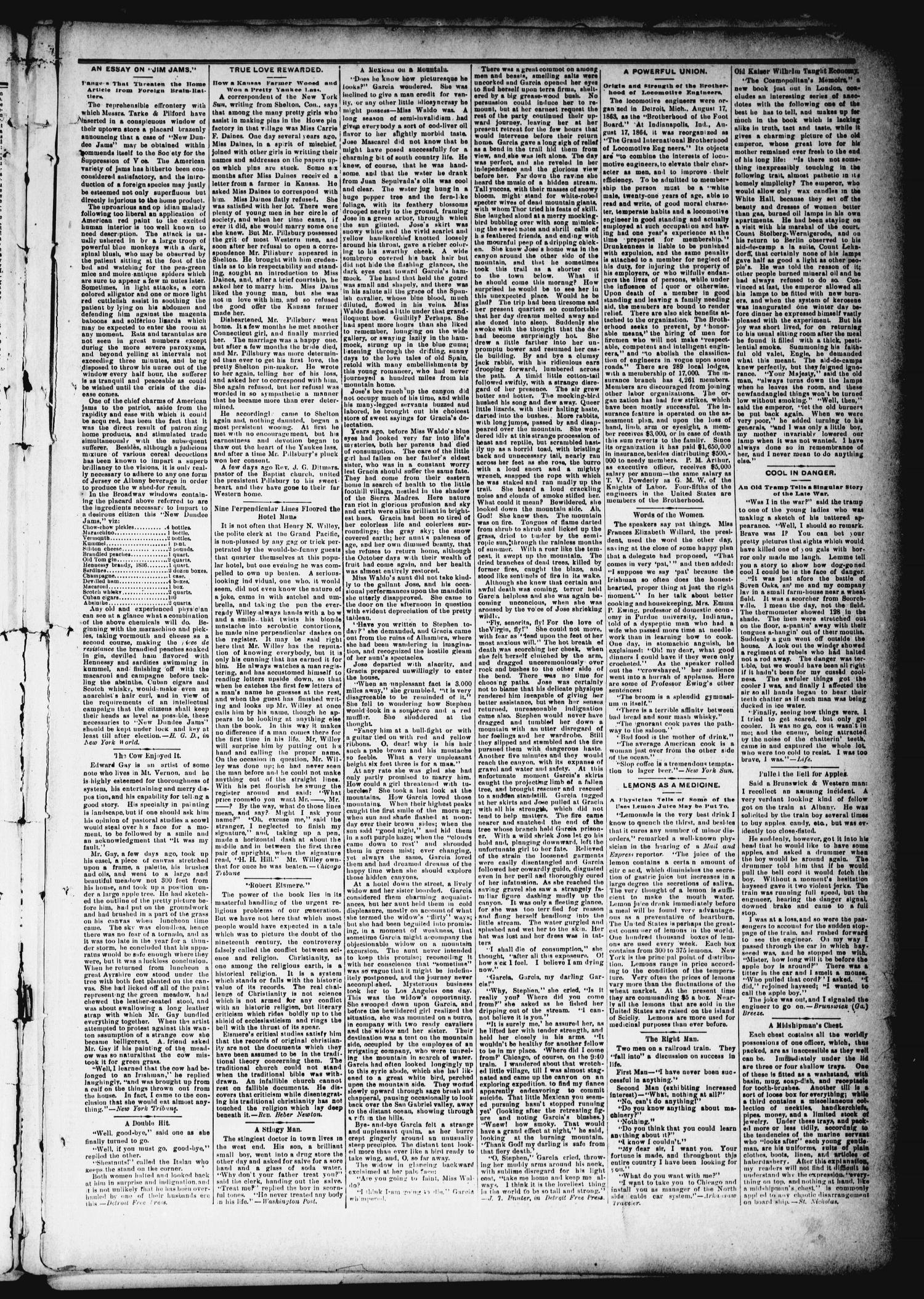 The Mineola Monitor (Mineola, Tex.), Vol. 12, No. 9, Ed. 1 Saturday, November 24, 1888
                                                
                                                    [Sequence #]: 3 of 8
                                                