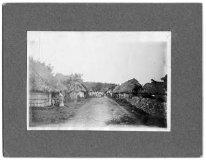 Primary view of object titled '[Grass huts and indigenous people]'.