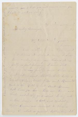 Primary view of object titled '[Letter from Libbie to Junia Roberts Osterhout, March 1, 1869]'.