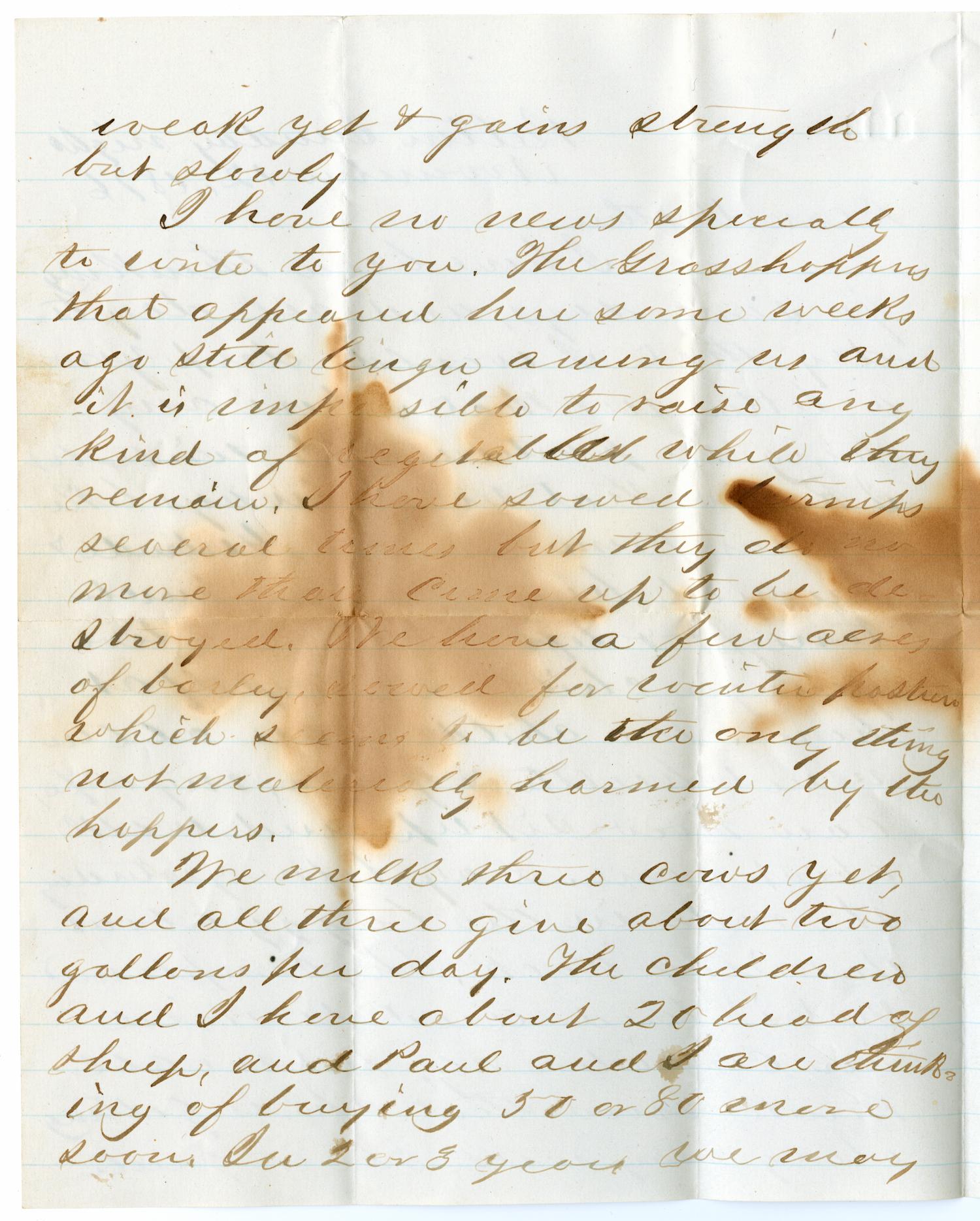 [Letter from John Patterson Osterhout to Sarah Osterhout, November 21, 1876]
                                                
                                                    [Sequence #]: 2 of 4
                                                