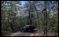 Primary view of [Photograph of Car in Davey Dogwood Park]