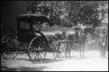 Primary view of [Unidentified Man with Horse and Buggy]