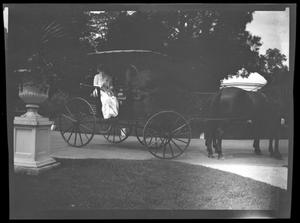 [Unidentified People in a Carriage]