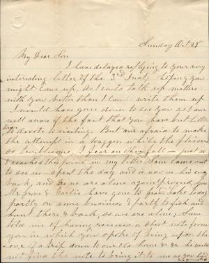 Primary view of object titled 'Letter to Cromwell Anson Jones 29 October [1878]'.