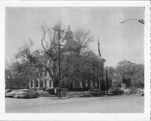 [Trees in front of the Fort Bend County Courthouse]