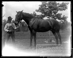 [Man Standing With Horse]