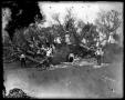 Photograph: [People Around Uprooted Tree]